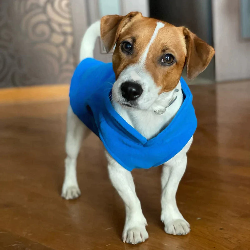 Roupinha para cães - Ah Acessórios